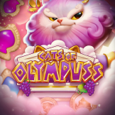 Cats of Olympuss 徽标