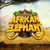 African Elephant 徽标
