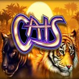Cats 徽标