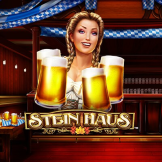 Stein Haus 徽标