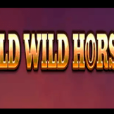 Wild Wild Horses 徽标