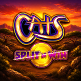 Cats Split n Win 徽标