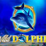 Wild Dolphin 徽标
