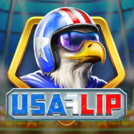 USA Flip 徽标