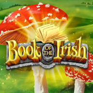 Book Of The Irish 徽标