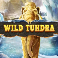 Wild Tundra 徽标