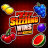 777 Sizzling Wins 5 Lines 徽标