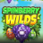 Spinberry Wilds logo