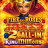 Fire and Roses Joker 2 All-In King Millions 徽标