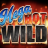 Mega Hot Wild 徽标