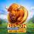 Bison Fortune Coins 徽标