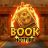 Book HOTFIRE 徽标