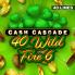 Cash Cascade - 40 Wild Fire 6 徽标