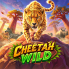 Cheetah Wild 徽标