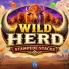 Wild Herd Stampede Stacks 徽标