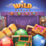 Wild Bazaar 徽标