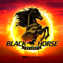 Black Horse Deluxe 徽标