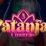 Patanjali Chakra 徽标
