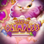 Cats of Olympuss 徽标
