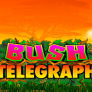 Bush Telegraph 徽标