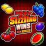 777 Sizzling Wins 5 Lines 徽标