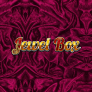 Jewel Box 徽标