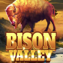 Bison Valley 徽标