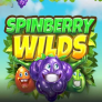 Spinberry Wilds 徽标