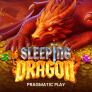 Sleeping Dragon 徽标