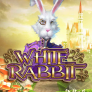 White Rabbit 徽标