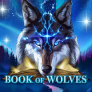 Book Of Wolves 徽标