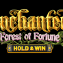 Enchanted: Forest of Fortune 徽标