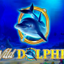 Wild Dolphin 徽标