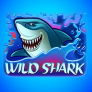 Wild Shark 徽标