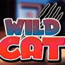 Wild Cat 徽标