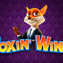 Foxin Wins 徽标