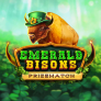 Emerald Bisons PrizeMatch 徽标