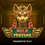 Nile Fortune 徽标