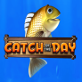 Catch Of The Day 徽标