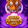 Tiger Jungle Hold and Win 徽标