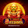 5 Lions Reborn 徽标