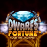 Dwarfs Fortune 徽标