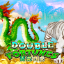 Double Fortune (Spadegaming) 徽标