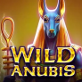 Wild Anubis 徽标