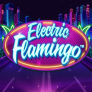 Electric Flamingo 徽标