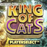 King of Cats 徽标