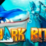 Shark Bite 徽标
