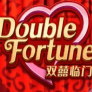 Double Fortune 徽标