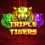 Triple Tigers 徽标