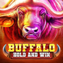 Buffalo Hold and Win 徽标